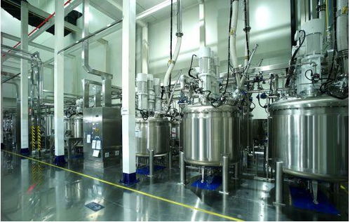 探訪蜂巢能源工廠 揭秘短刀電池生產(chǎn)的三大核心秘籍